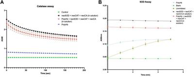 Preliminary feasibility study using a solution of synthetic enzymes to replace the natural enzymes in polyhemoglobin-catalase-superoxide dismutase-carbonic anhydrase: effect on warm ischemic hepatocyte cell culture